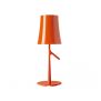 Foscarini Birdie Small from Oldfield Lighting